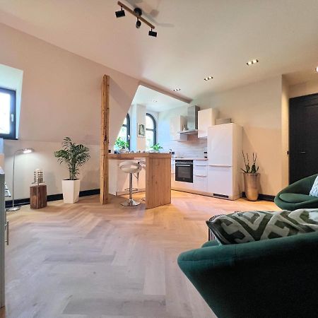Aussergewoehnliche Ferienwohnung Stadtvilla Plauen Eksteriør billede