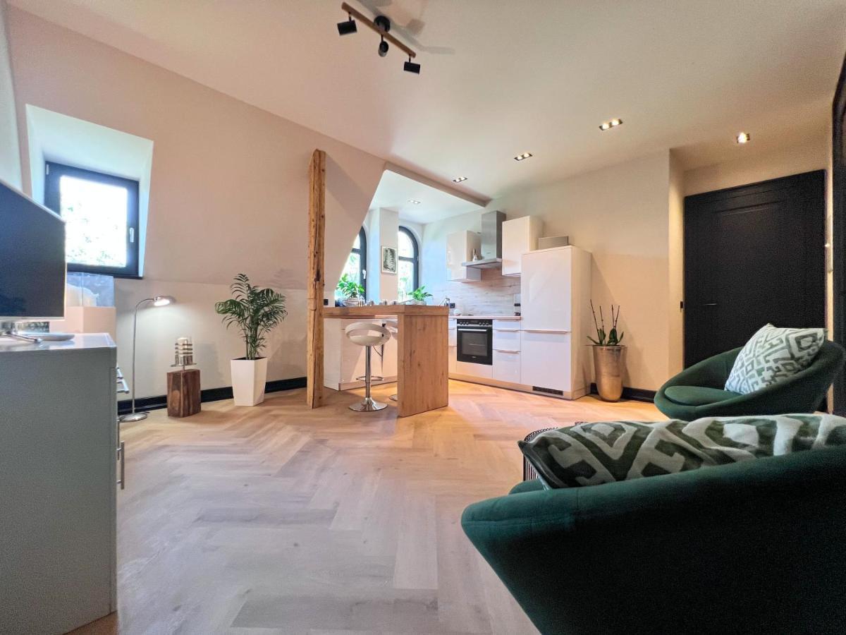 Aussergewoehnliche Ferienwohnung Stadtvilla Plauen Eksteriør billede