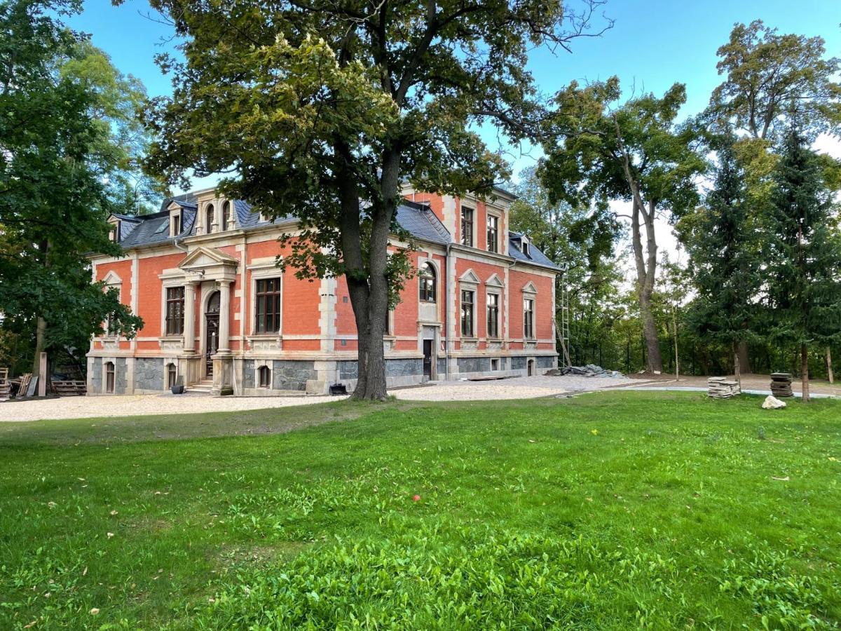 Aussergewoehnliche Ferienwohnung Stadtvilla Plauen Eksteriør billede