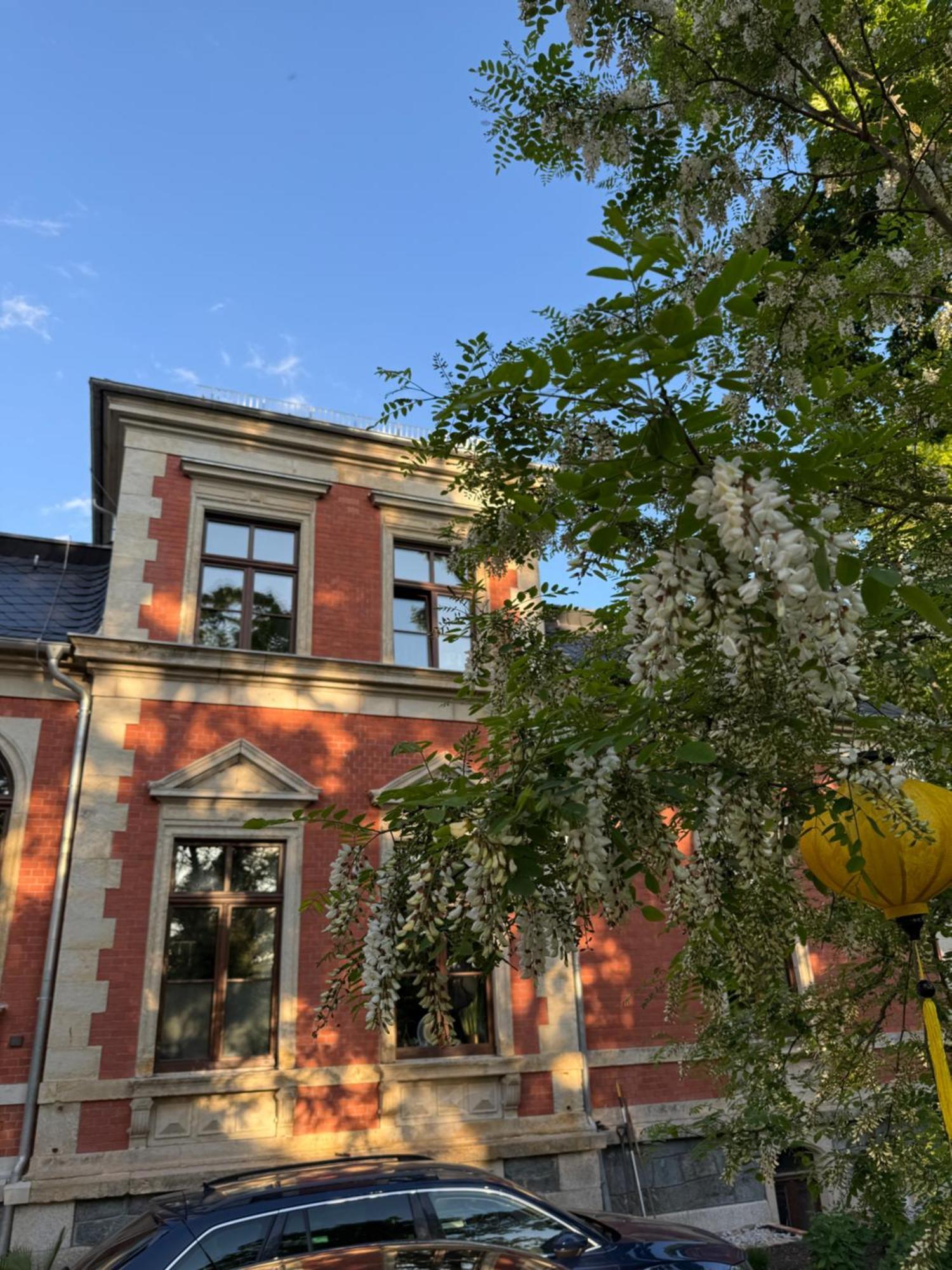 Aussergewoehnliche Ferienwohnung Stadtvilla Plauen Eksteriør billede